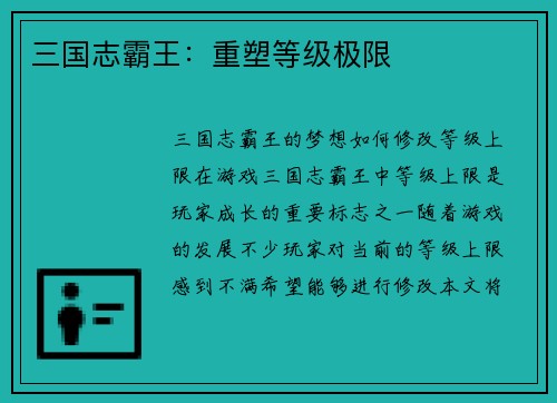 三国志霸王：重塑等级极限